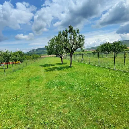 Pod Palavou مكان تخييم Dolní Dunajovice